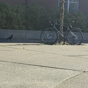 Trek Madone 4.2 Black