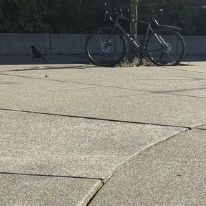 Trek Madone 4.2 Black