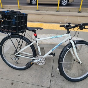 Specialized Rockhopper White and Blue