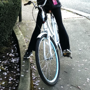 2026 Tuesday Cycles White