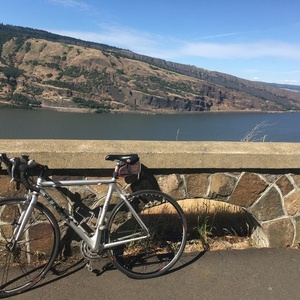 Trek OCLV Carbon 120 Silver, gray or bare metal