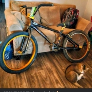 2022 SE Bikes So Cal Flyer Black and Yellow or Gold