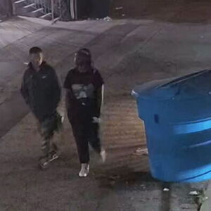 2025 Lectric eBikes XP Lite 2.0 Yellow or Gold