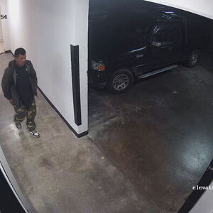 2025 Lectric eBikes XP Lite 2.0 Yellow or Gold