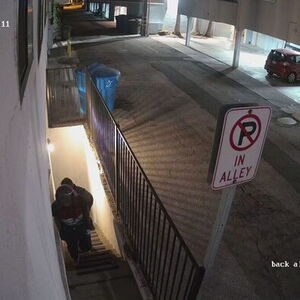 2025 Lectric eBikes XP Lite 2.0 Yellow or Gold