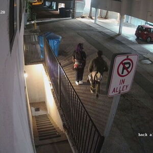 2025 Lectric eBikes XP Lite 2.0 Yellow or Gold