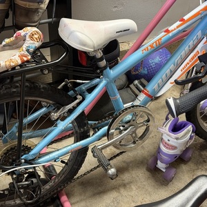 Novara Pixie 20” Blue