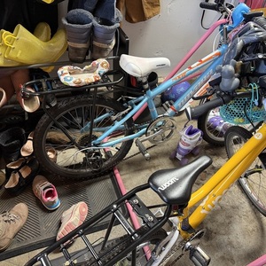 Novara Pixie 20” Blue