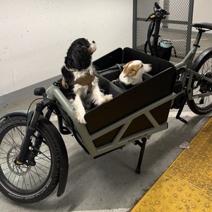 Riese & Müller Load4 60 cargo bike Green