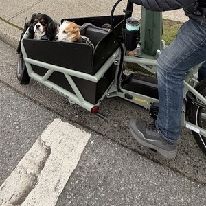 Riese & Müller Load4 60 cargo bike Green