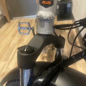 Rad Power Bikes Rad Runner Plus Silver, gray or bare metal