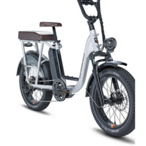 Rad Power Bikes Rad Runner Plus Silver, gray or bare metal