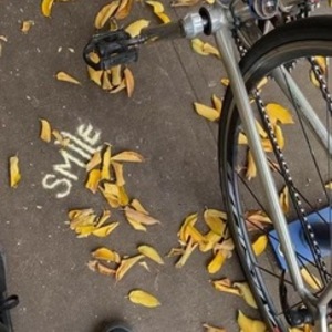 1988 Bridgestone RB Series Silver, gray or bare metal