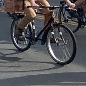 Bianchi Ocelot Black