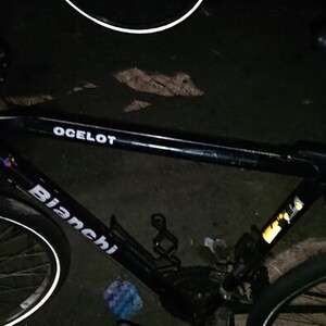 Bianchi Ocelot Black