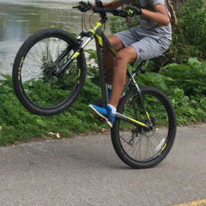 Giant Talon 27.5 1 (2014) Yellow or Gold and Silver or Gray