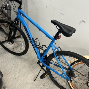2020 Schwinn Copeland Blue