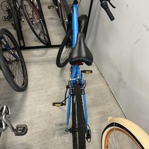 2020 Schwinn Copeland Blue