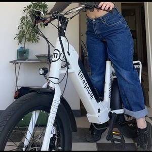 Magnum Bikes Pathfinder White