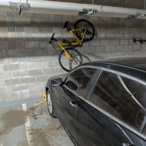 2026 Trek Verve 2 Lowstep Yellow or Gold