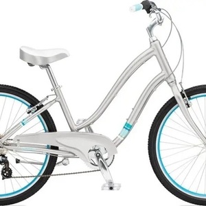 2011 Giant Suede W (Silver, Blue) Silver, gray or bare metal and Blue