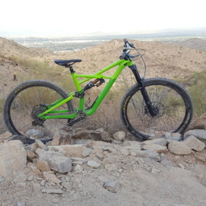 2017 Specialized Enduro Comp 29/6Fattie Green