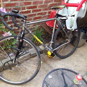 2003 Litespeed Appalachian Silver or Gray