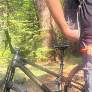 2021 Transition Bikes spur Silver, gray or bare metal