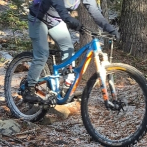 2019 Ibis ripmo Blue