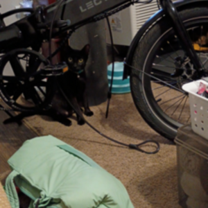 Lectric eBikes XP Lite 2 JW Black Black