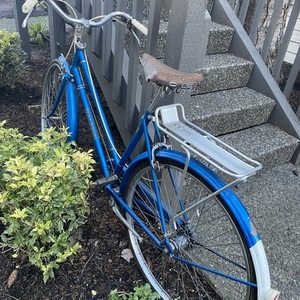 1960 Raleigh Sturmey-Archer 3-speed shifter (Engla... Blue