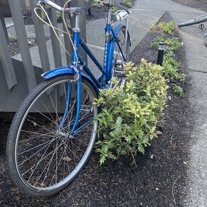 1960 Raleigh Sturmey-Archer 3-speed shifter (Engla... Blue