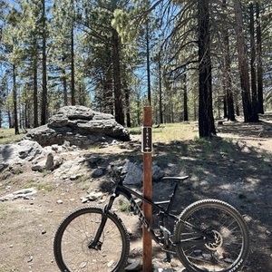 2022 Ghost SLAMR 2.9 Black