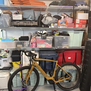 2024 Specialized Creo SL Yellow or Gold
