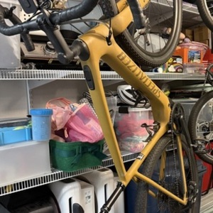2024 Specialized Creo SL Yellow or Gold