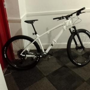2024 Trek Marlin White