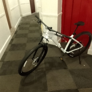 2024 Trek Marlin White