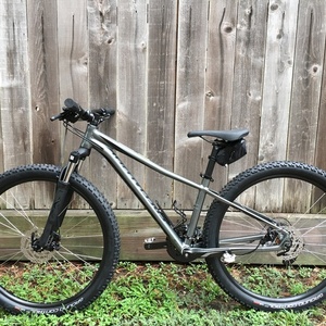 2018 Specialized Pitch Silver, gray or bare metal