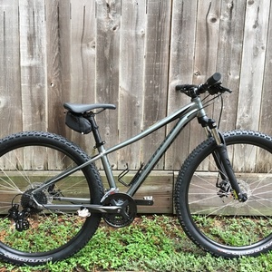 2018 Specialized Pitch Silver, gray or bare metal