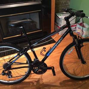 2009 Raleigh Mojave 2.0  Black and Blue