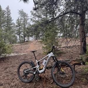 2024 Santa Cruz Heckler sl Silver, gray or bare metal