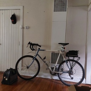 Diamondback Apex White and Blue