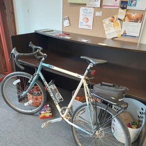 Diamondback Apex White and Blue