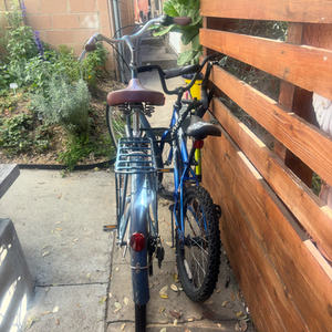 2020 Pure Cycles Step thru upright Pure City Blue