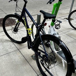 2023 Trek Verve 3 Blue