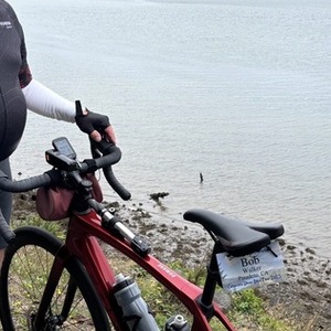 2025 Trek Domane SLR7 Red