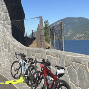 2025 Trek Domane SLR7 Red