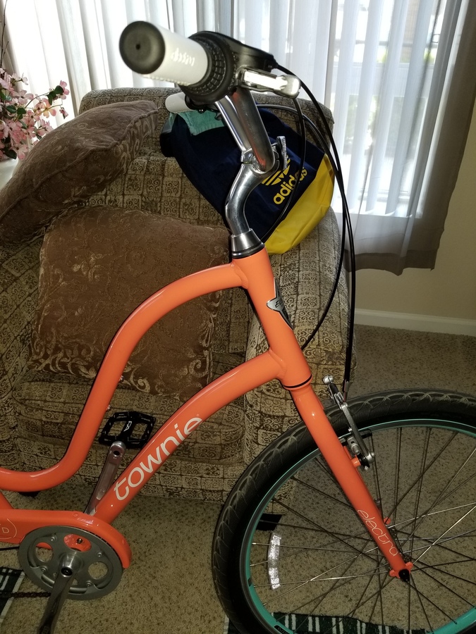 electra townie touch up paint