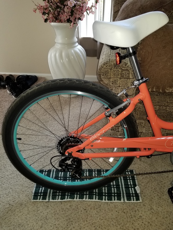 ale master bib shorts