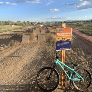 NS Bikes Decade frameset Teal